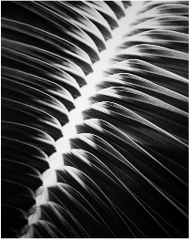 texture-what